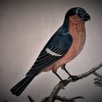 Enseigner le chant – Clémence Gégauff